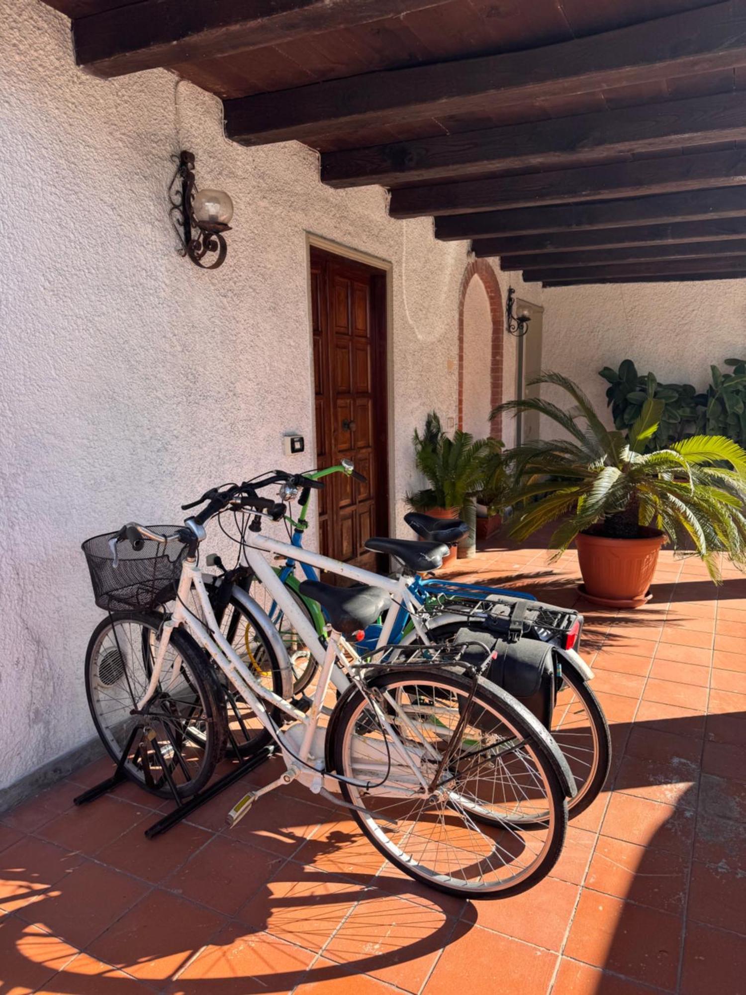 Tra Forte Dei Marmi E Marina Di Massa - Il Melograno Buitenkant foto